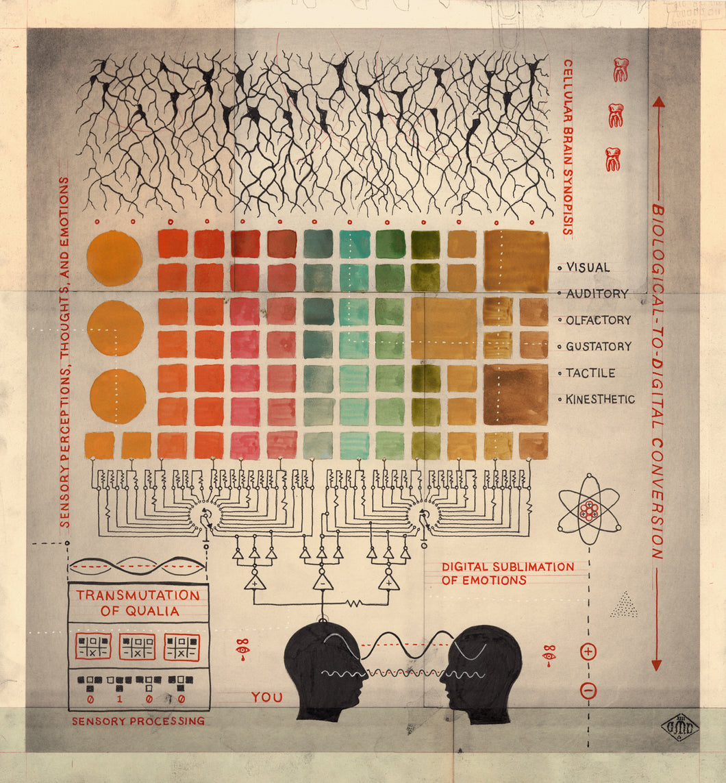 Transmutation of Qualia